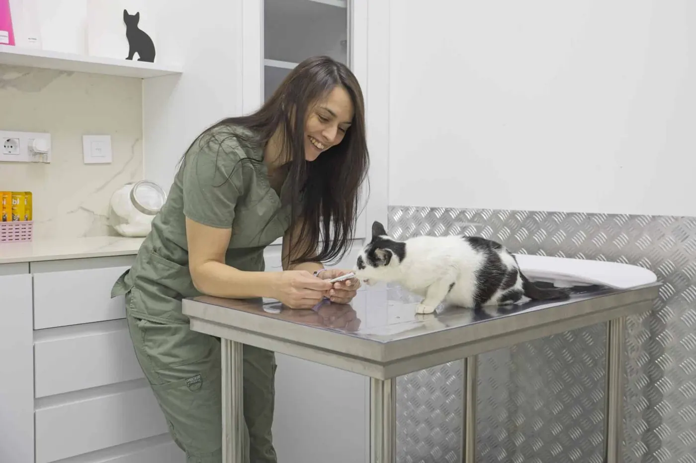Una gata en la consulta