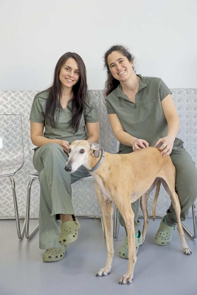 Veterinarias de Lily's Vet en la sala de espera. Listas para hacer una ecografía.