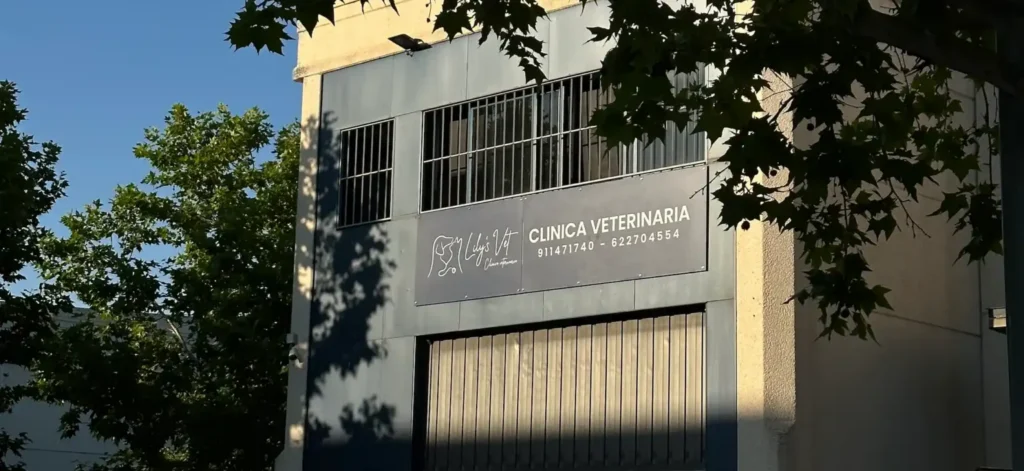 Cartel exterior de Lily's Vet con el nombre de la clínica