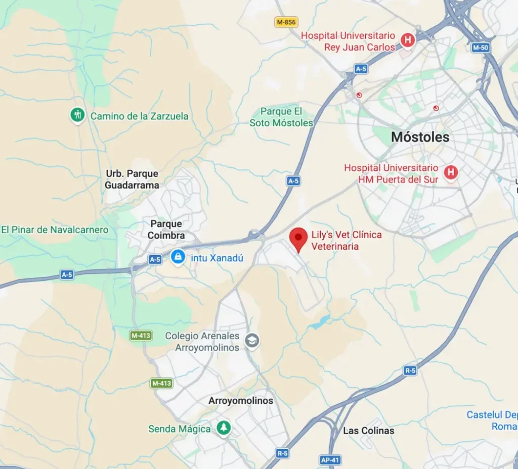 Imagen de ubicación de Clinica Lilys Vet, localizado entre Mostoles, Parque Coimbra y Arroyomolinos